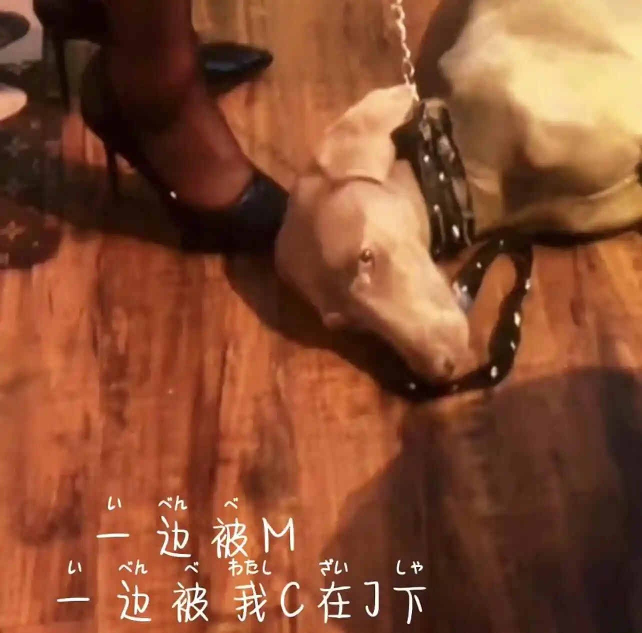 西檬之家-BDSM字母圈新人入圈指南