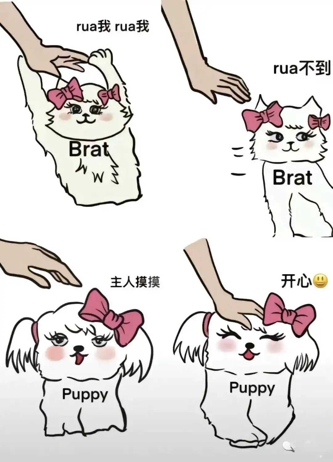 西檬之家-践踏癖是什么？字母圈新人入圈指南