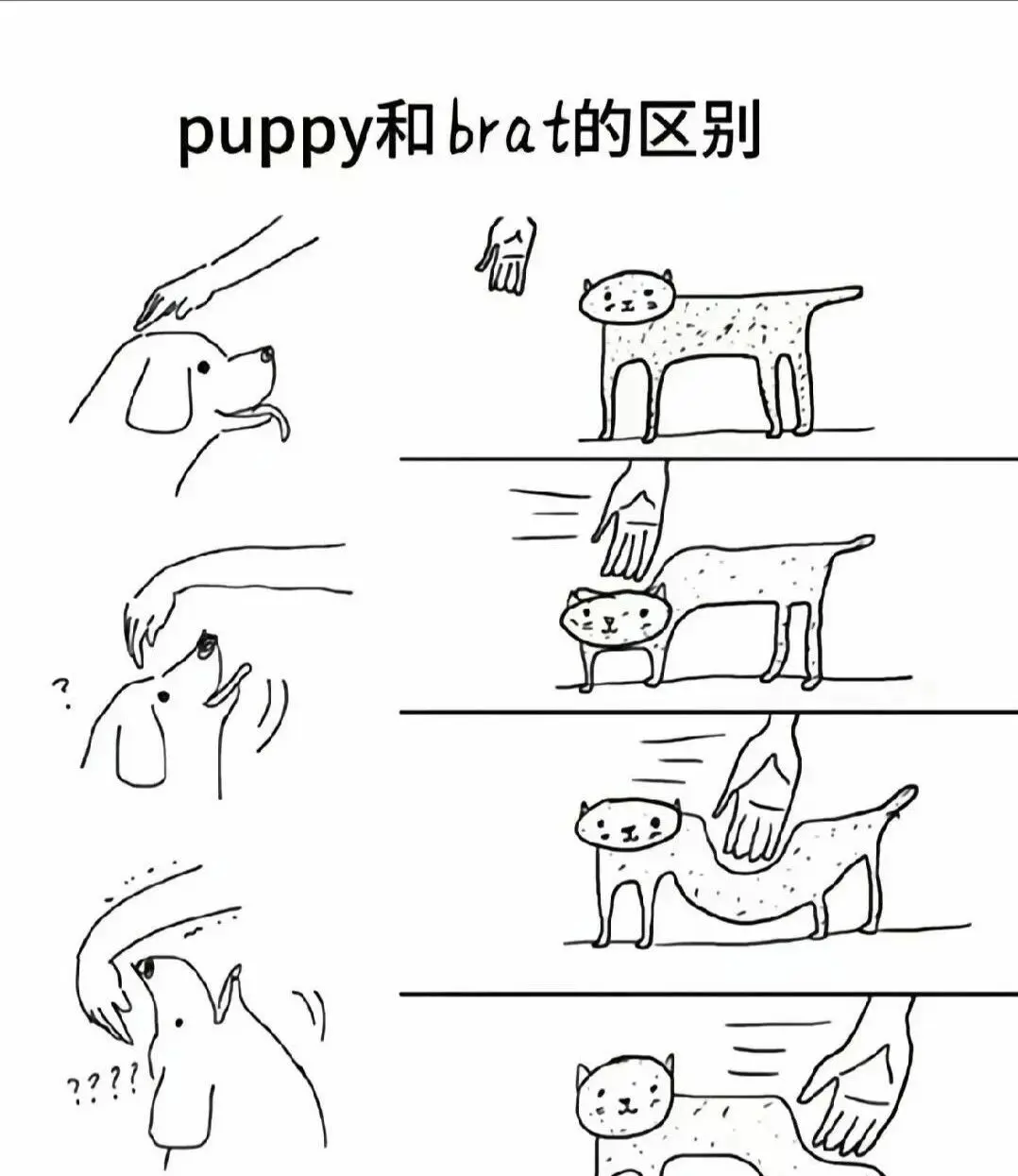 西檬之家-字母圈k8是什么