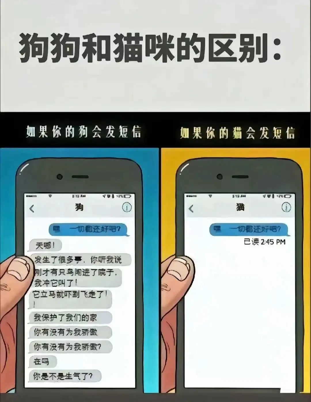 西檬之家-OTK是什么意思？字母圈新人入圈必读指南