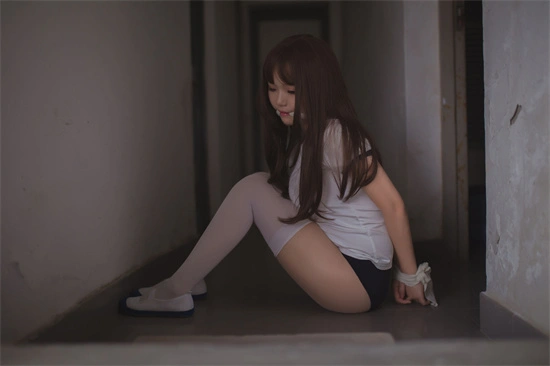 k9是什么 - 9944