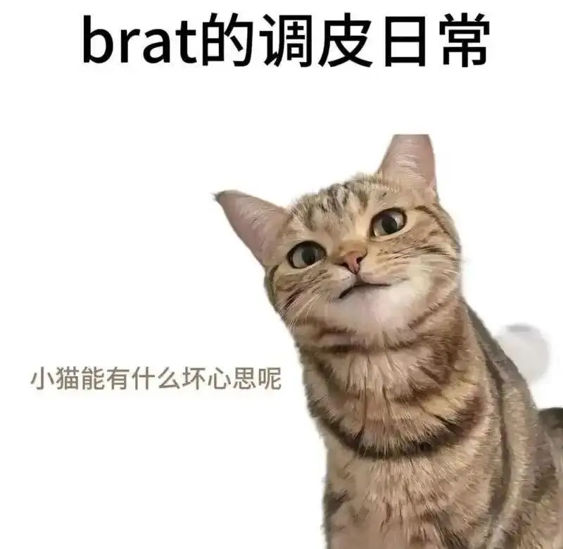 西檬之家-字母圈TK是什么？轻微互动的探索与安全