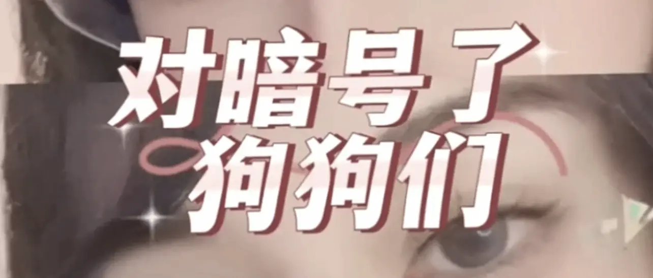 【西檬之家】Dirty Talk是什么？字母圈新人入圈指南