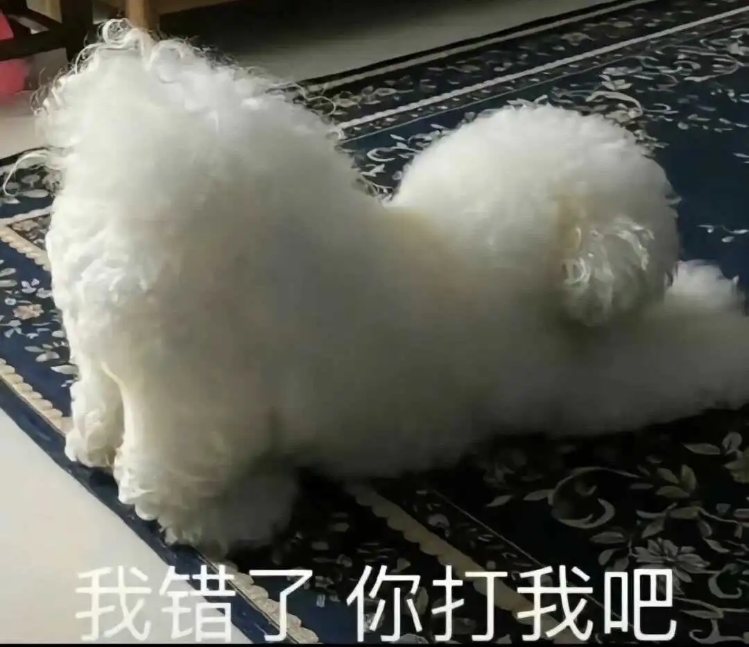 【西檬之家】Sub是什么？字母圈新人必备的角色认知指南
